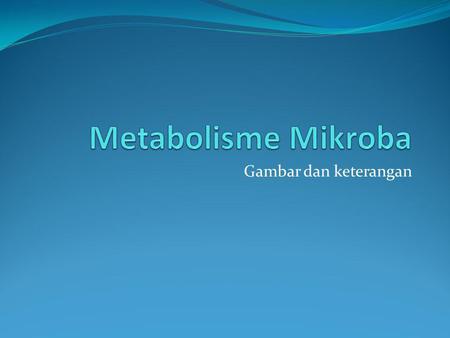 Metabolisme Mikroba Gambar dan keterangan.