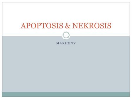 APOPTOSIS & NEKROSIS MARHENY.