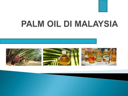 PERKEMBANGAN INDUSTRI PALM OIL DI MALAYSIA Palm Oil (Elaeis guineensis) pertama kali diperkenalkan di Malaysia sebagai tanaman hias pada tahun 1870. Semenjak.