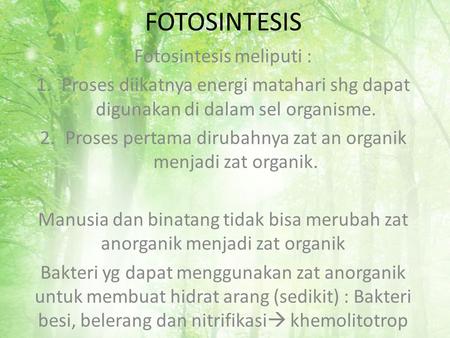 FOTOSINTESIS Fotosintesis meliputi :