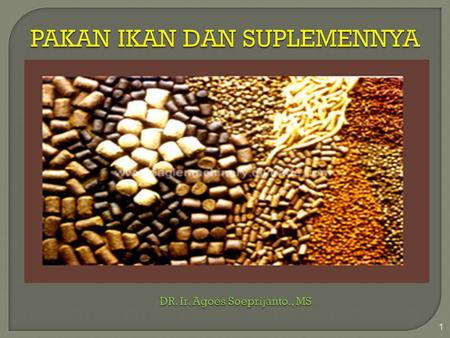 PAKAN IKAN DAN SUPLEMENNYA