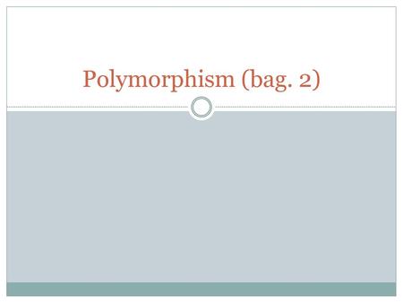 Polymorphism (bag. 2).