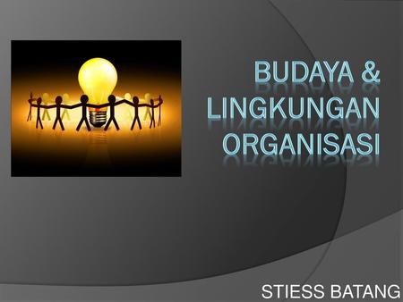 Budaya & Lingkungan Organisasi