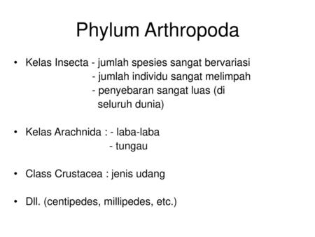 Phylum Arthropoda Kelas Insecta - jumlah spesies sangat bervariasi
