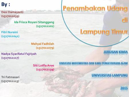 Penambakan Udang di Lampung Timur