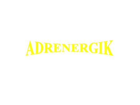 ADRENERGIK.