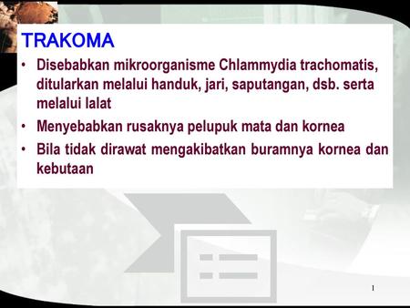 TRAKOMA Disebabkan mikroorganisme Chlammydia trachomatis, ditularkan melalui handuk, jari, saputangan, dsb. serta melalui lalat Menyebabkan rusaknya pelupuk.