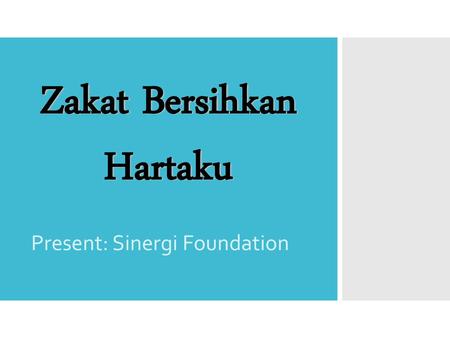 Present: Sinergi Foundation