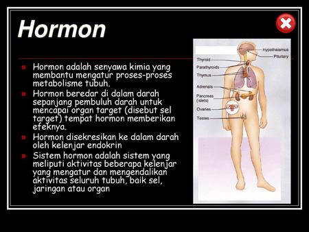 Hormon Hormon adalah senyawa kimia yang membantu mengatur proses-proses metabolisme tubuh. Hormon beredar di dalam darah sepanjang pembuluh darah untuk.