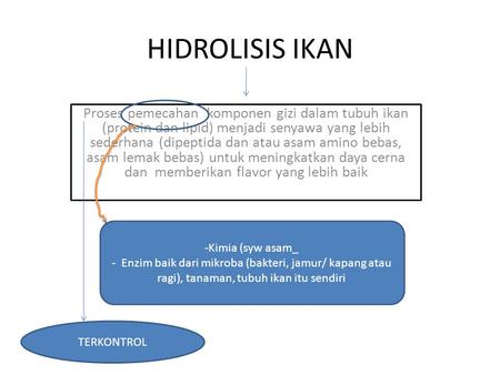 HIDROLISIS IKAN Proses pemecahan komponen gizi dalam tubuh ikan (protein dan lipid) menjadi senyawa yang lebih sederhana (dipeptida dan atau asam amino.