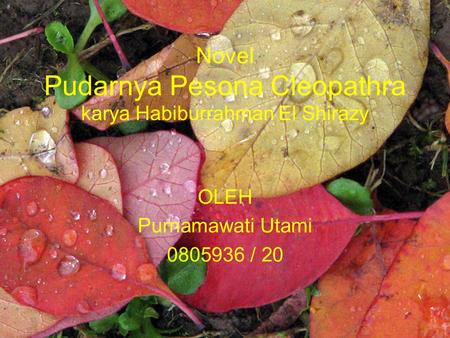 OLEH Purnamawati Utami 0805936 / 20 Novel Pudarnya Pesona Cleopathra karya Habiburrahman El Shirazy.