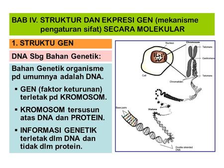 Bahan Genetik organisme pd umumnya adalah DNA.