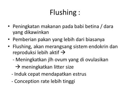 Flushing : Peningkatan makanan pada babi betina / dara yang dikawinkan