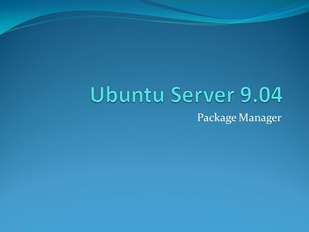 Ubuntu Server 9.04 Package Manager.
