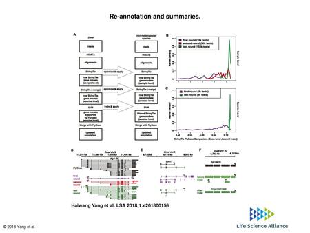 Re-annotation and summaries.