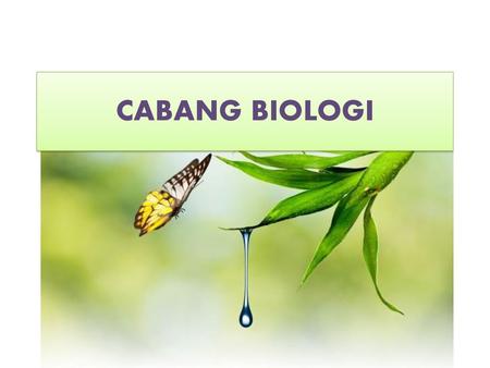 Ruang Lingkup Objek Dan Permasalahan Biologi Ppt Download