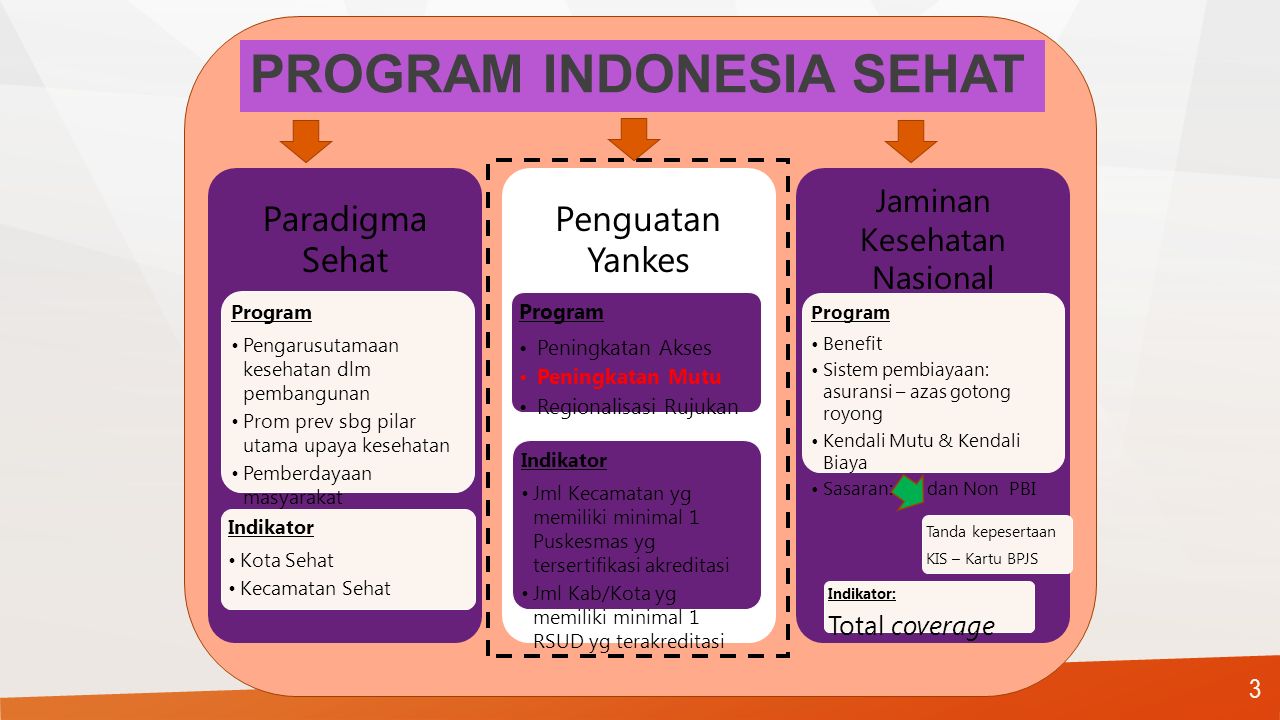 PROGRAM INDONESIA SEHAT