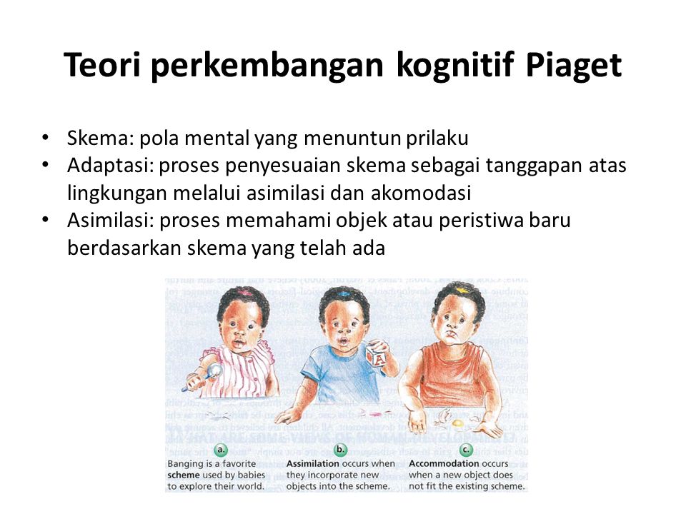 Teori perkembangan kognitif Piaget