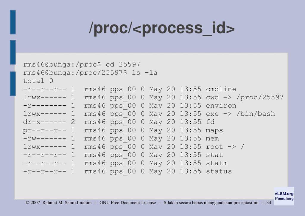 Proc processes