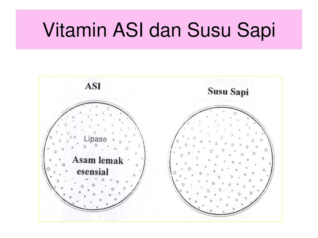 Vitamin ASI dan Susu Sapi