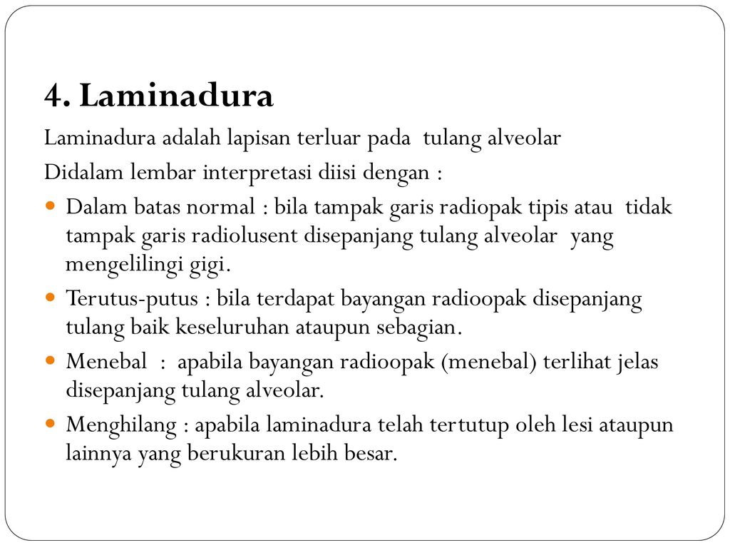 4. Laminadura Laminadura adalah lapisan terluar pada tulang alveolar
