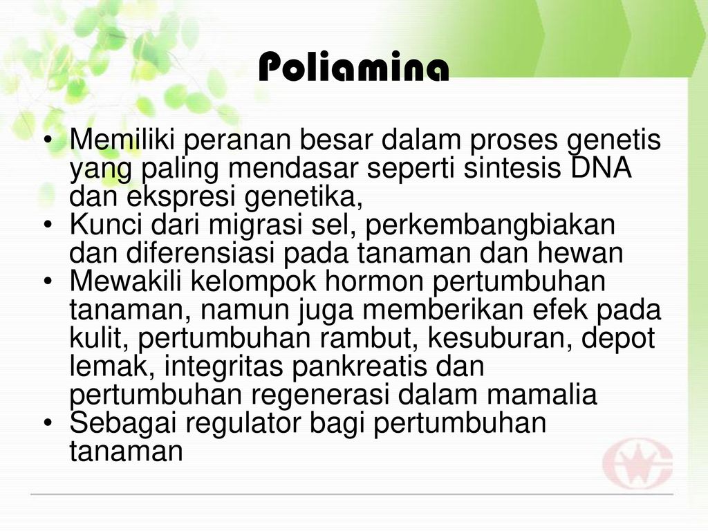 Poliamina Memiliki peranan besar dalam proses genetis yang paling mendasar seperti sintesis DNA dan ekspresi genetika,