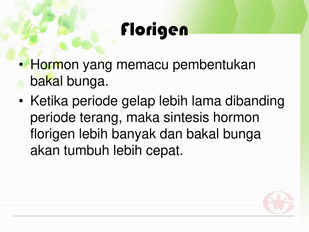 Florigen Hormon yang memacu pembentukan bakal bunga.