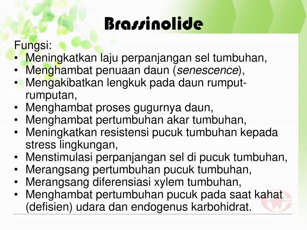 Brassinolide Fungsi: Meningkatkan laju perpanjangan sel tumbuhan,