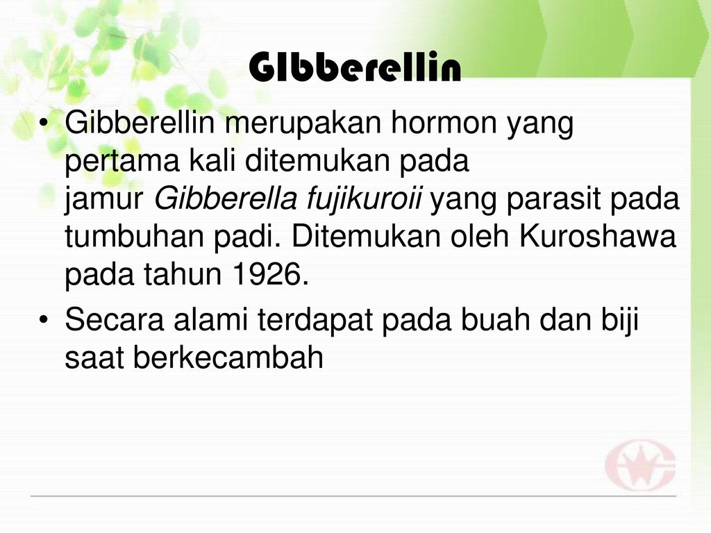 GIbberellin