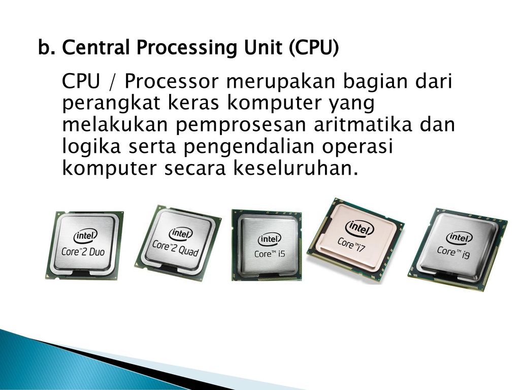 b. Central Processing Unit (CPU)