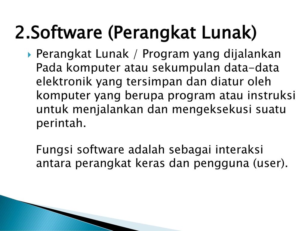 2.Software (Perangkat Lunak)