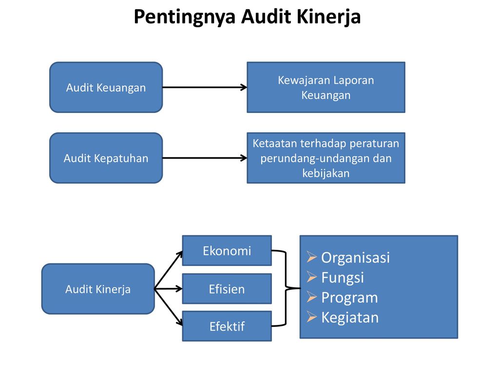 Performance Audit Audit Kinerja Ppt Download