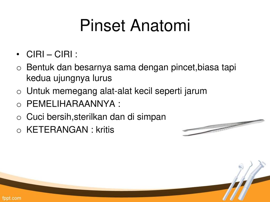Pinset Anatomi CIRI – CIRI :