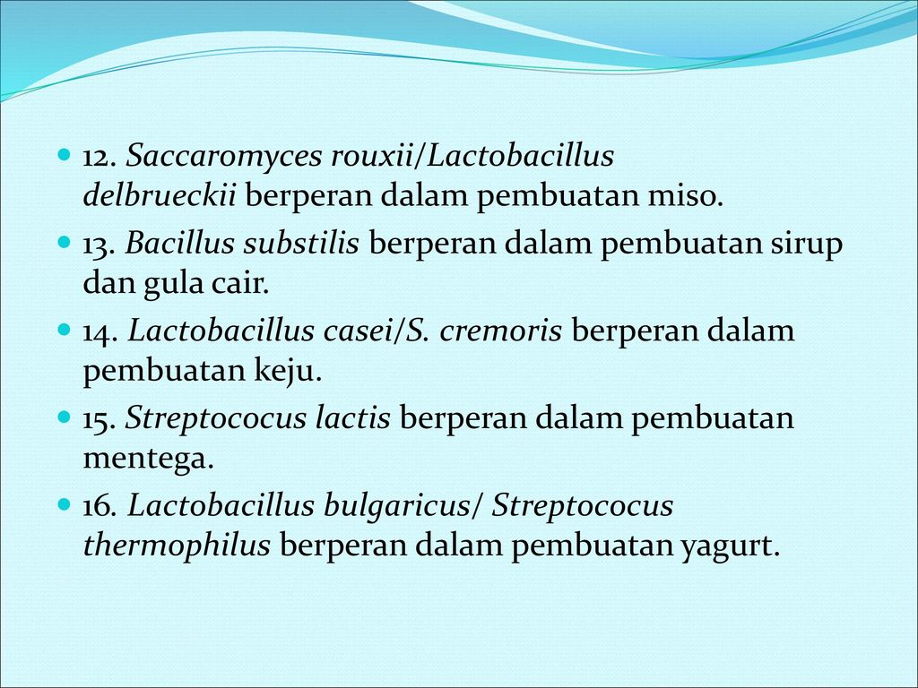 Lactobacillus bulgaricus peran Lactobacillus delbrueckii