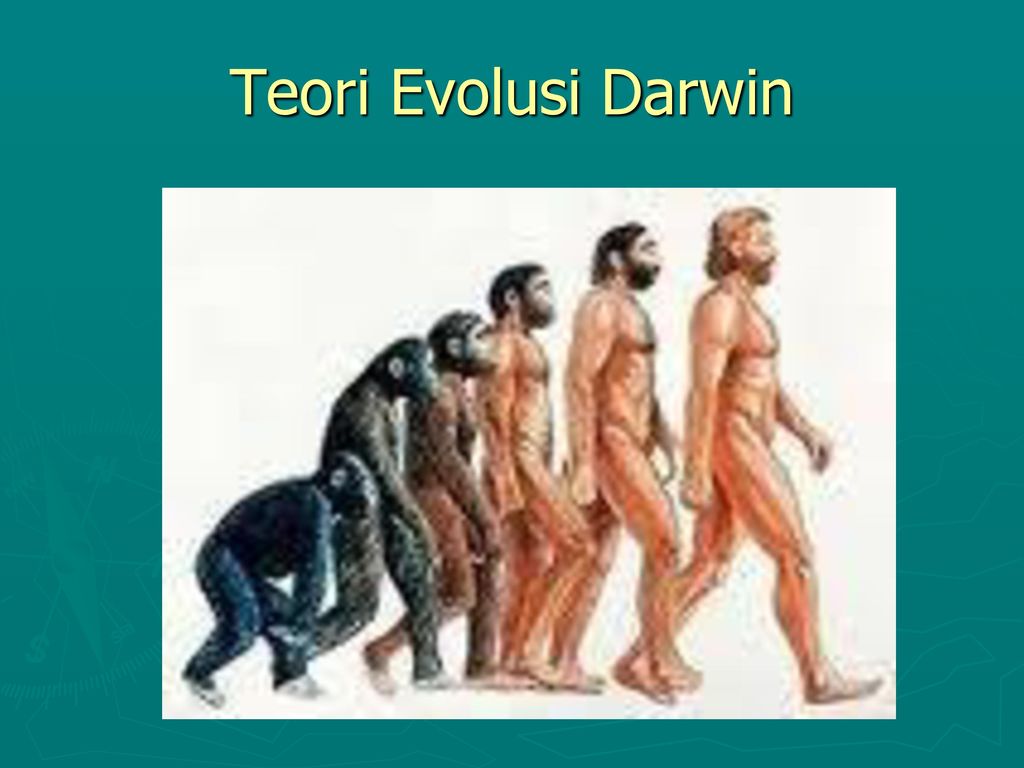 Teori Evolusi Darwin