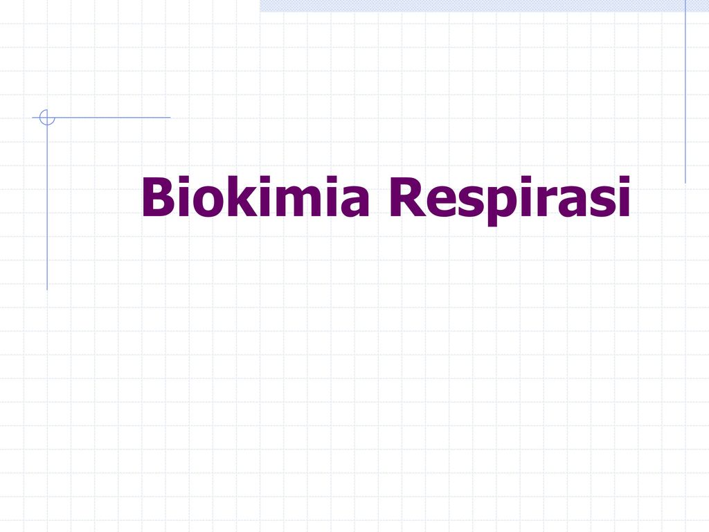Biokimia Respirasi