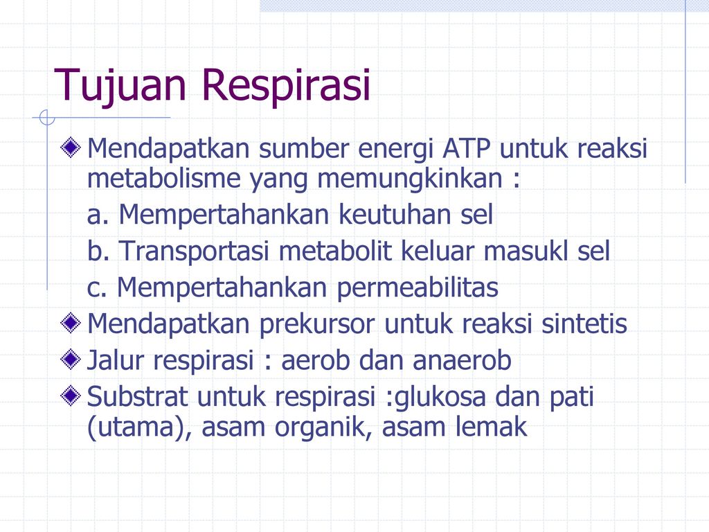 Tujuan Respirasi Mendapatkan sumber energi ATP untuk reaksi metabolisme yang memungkinkan : a. Mempertahankan keutuhan sel.