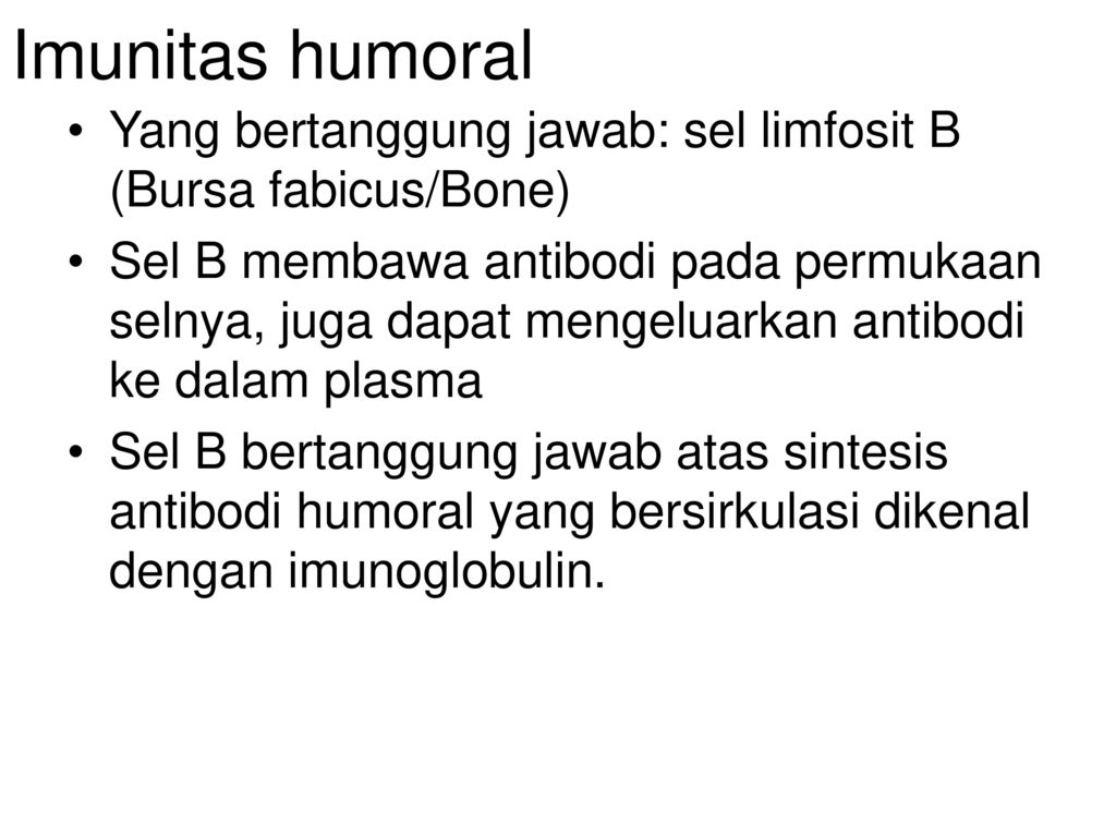 Imunitas humoral Yang bertanggung jawab: sel limfosit B (Bursa fabicus/Bone)