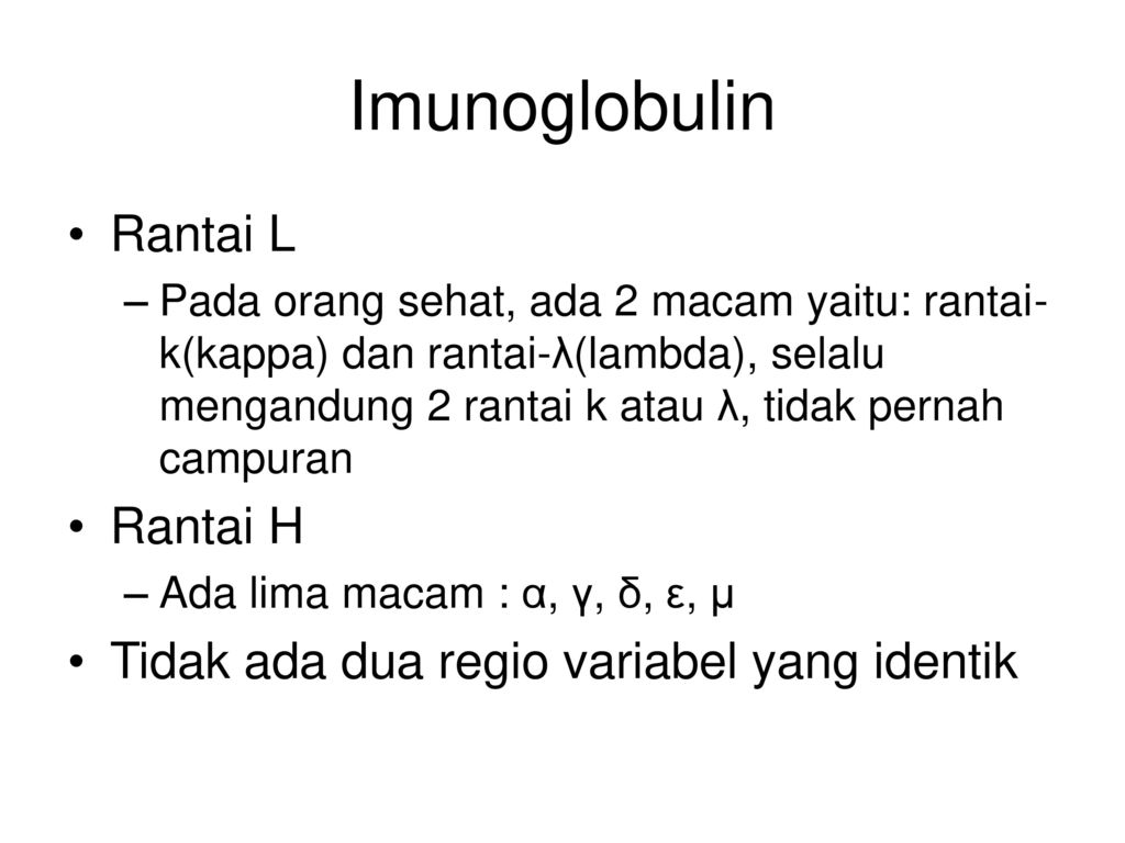 Imunoglobulin Rantai L Rantai H
