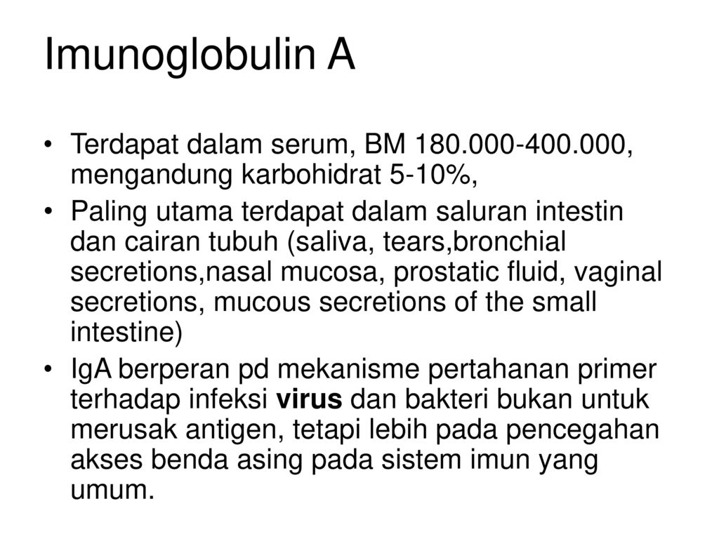 Imunoglobulin A Terdapat dalam serum, BM , mengandung karbohidrat 5-10%,