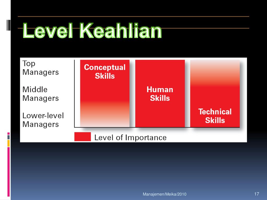 Level Keahlian Manajemen/Meika/2010