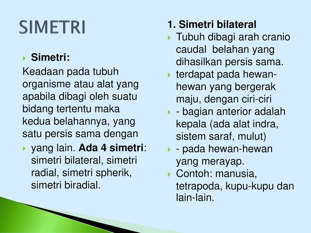 SIMETRI 1. Simetri bilateral