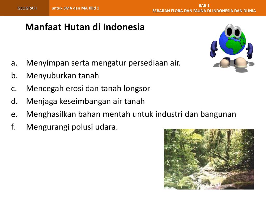Manfaat Hutan di Indonesia