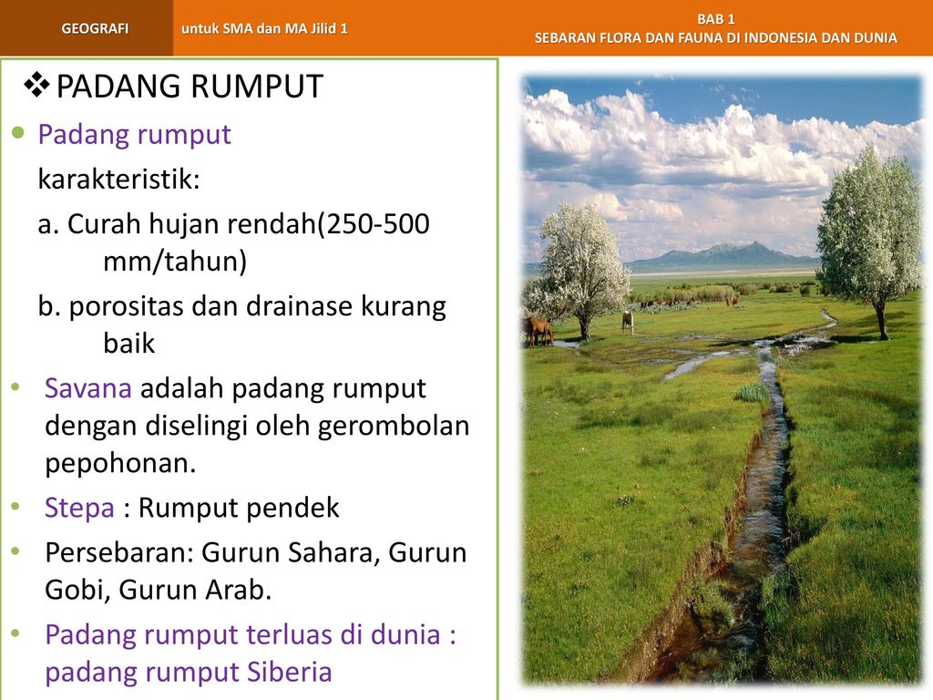 PADANG RUMPUT Padang rumput karakteristik:
