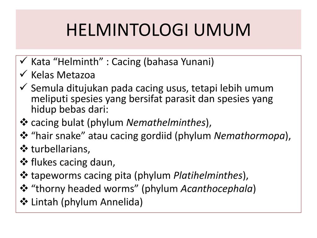 Cacing helminth, A leggyakoribb helminthiasis tГјnetei