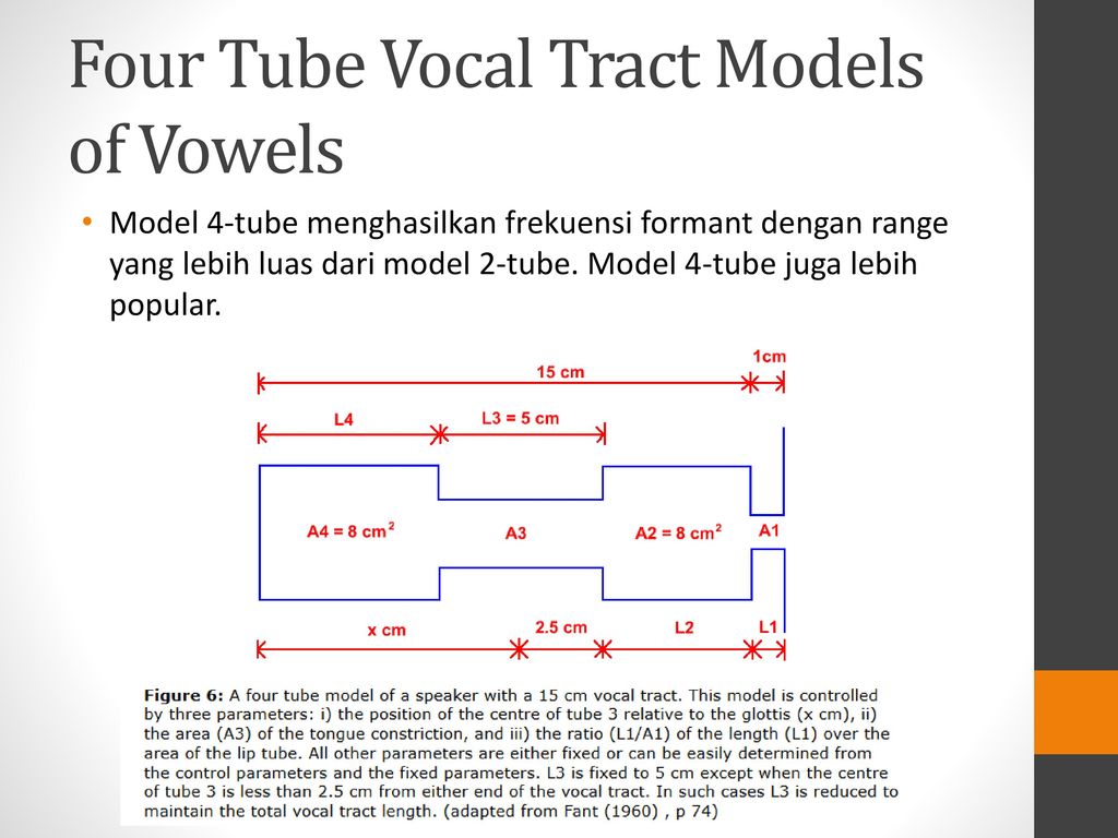 Model 4-tube menghasilkan frekuensi formant dengan range yang lebih luas da...