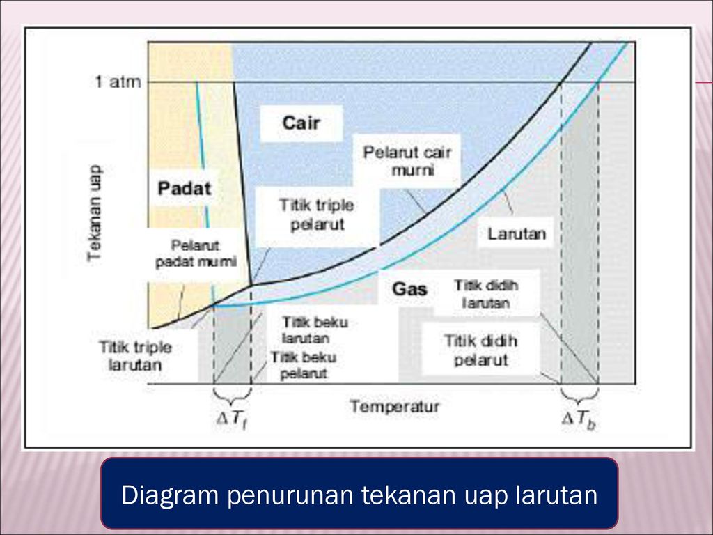 Diagram penurunan tekanan uap larutan