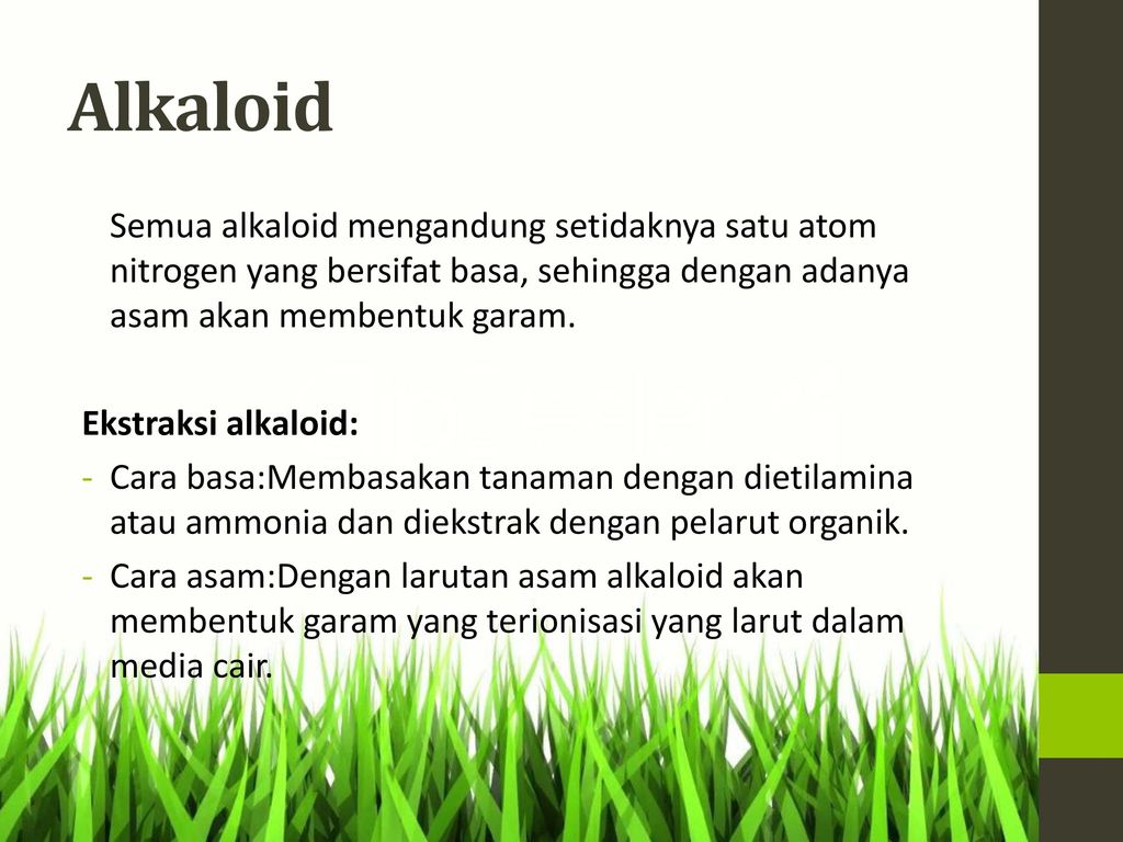 Alkaloid Semua alkaloid mengandung setidaknya satu atom nitrogen yang bersifat basa, sehingga dengan adanya asam akan membentuk garam.