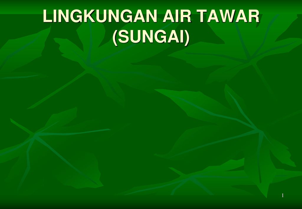 Lingkungan Air Tawar Sungai Ppt Download