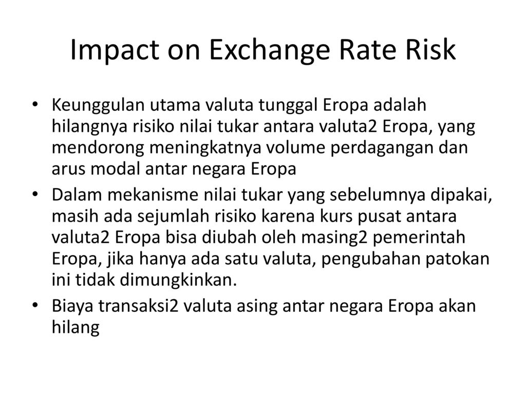 Impact on Exchange Rate Risk